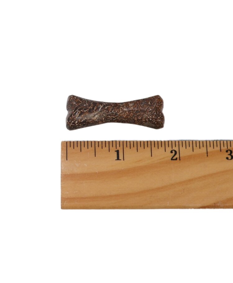 Carved Dinosaur Bone Pendant