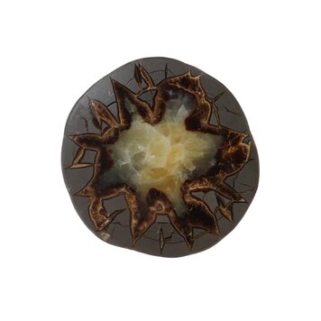 Septarian Nodule Slice Utah 3-4"