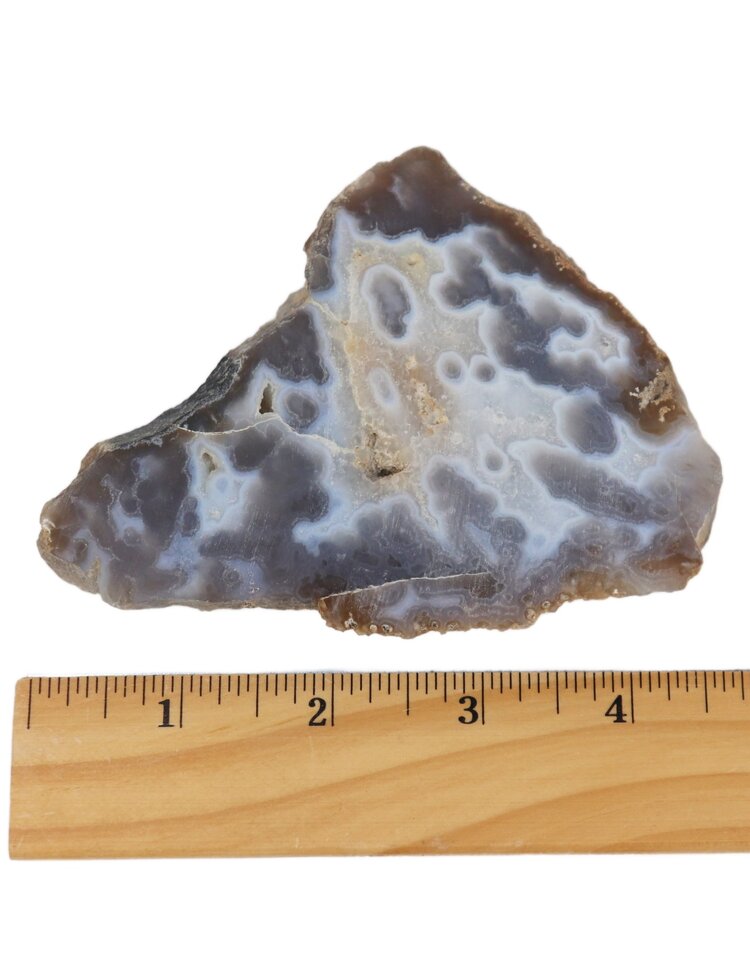 4.5" Tube Agate Slice, Mexico