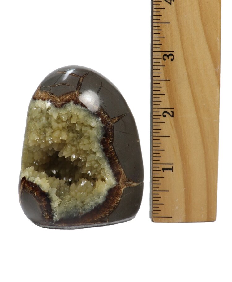 Septarian Nodule Freeform Utah 350-400g