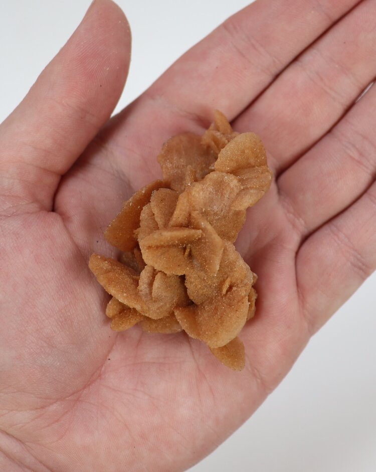 Desert Rose Gypsum 26-50g - Morocco