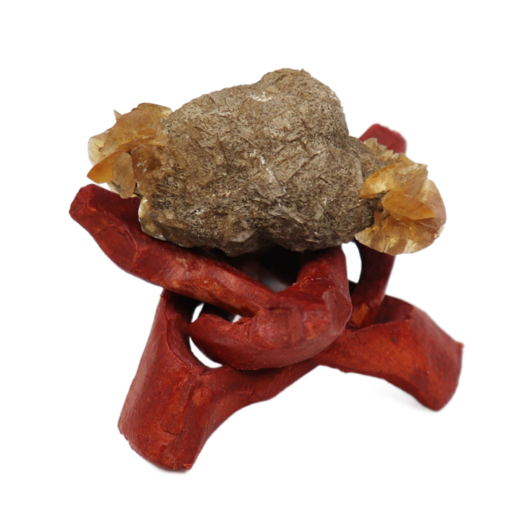 Gypsum var. Duckbill Selenite Floater Red River Valley, Fargo, Cass Co., ND, USA