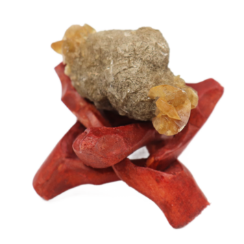 Gypsum var. Duckbill Selenite Floater Red River Valley, Fargo, Cass Co., ND, USA