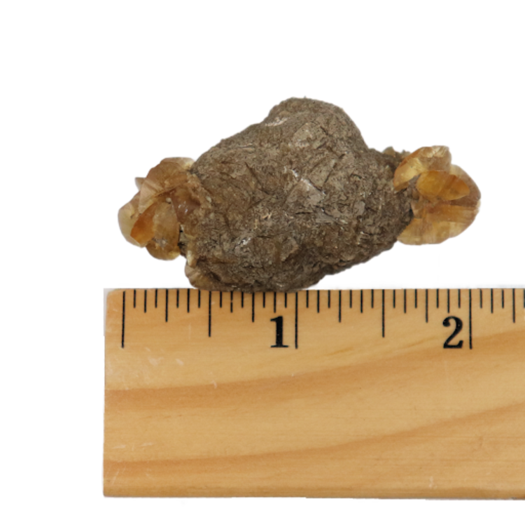 Gypsum var. Duckbill Selenite Floater Red River Valley, Fargo, Cass Co., ND, USA