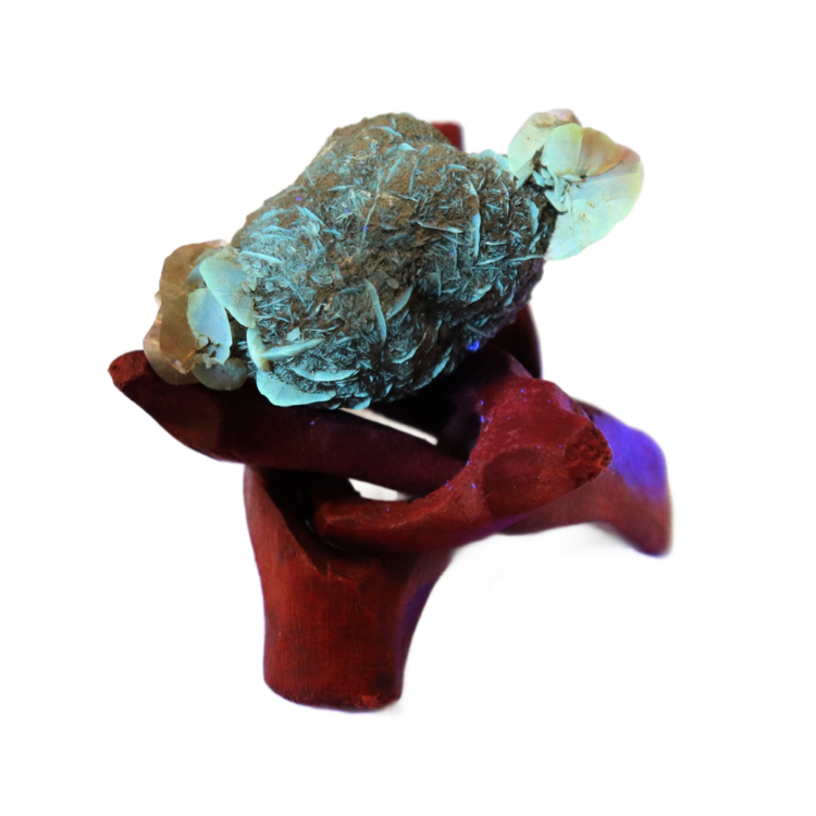 Gypsum var. Duckbill Selenite Floater Red River Valley, Fargo, Cass Co., ND, USA