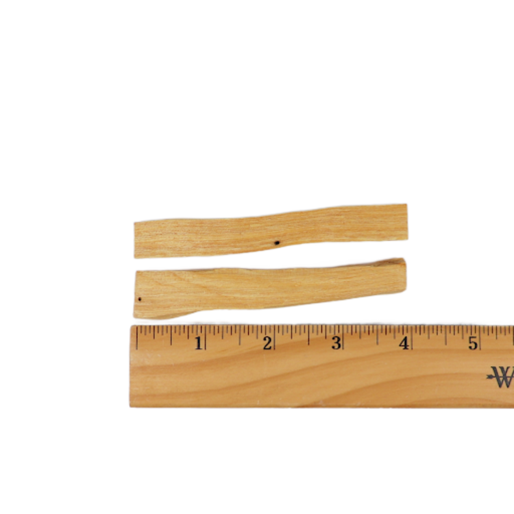 Cleansing Kit: Palo Santo, Blue Sage, Abalone Shell