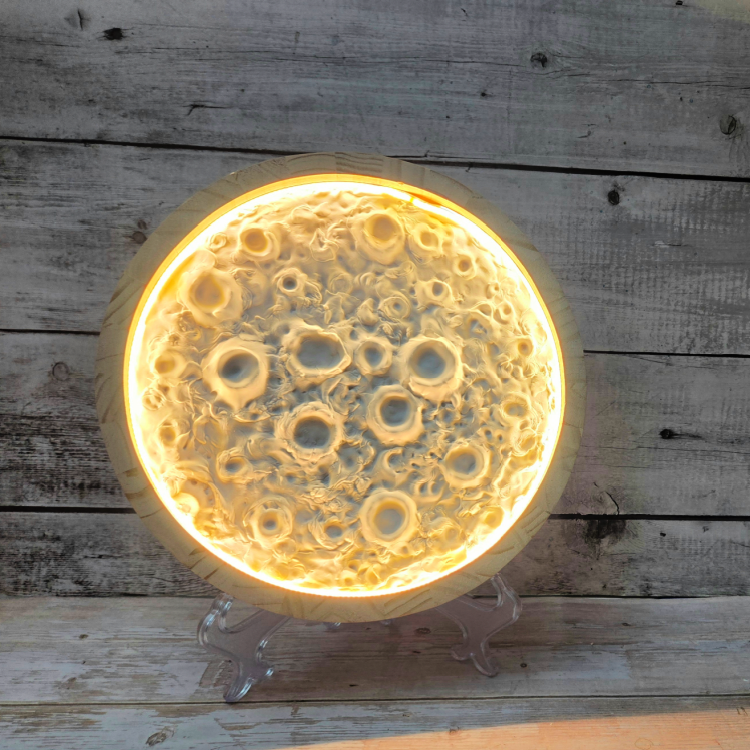 Nov. 15, SUN 3-5pm Light-Up Moon Workshop