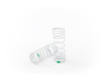 Front Springs TRA6862