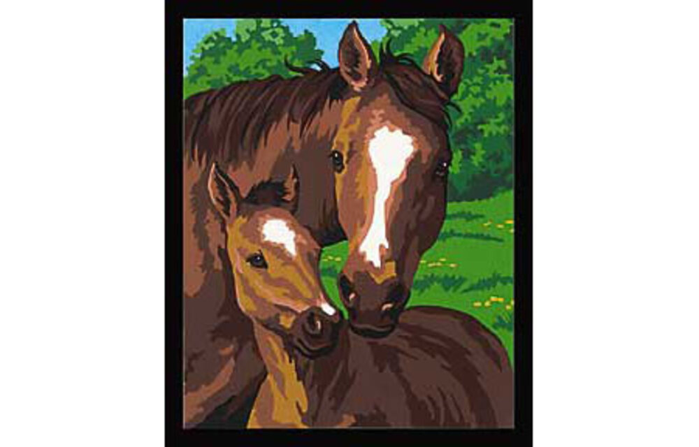 Pony & Mother Paint by Number