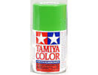 PS-21 PARK GREEN PAINT  TAM86021