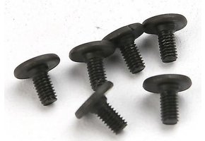 SCREWS 3X6MM FLAT-HEAD HEX (6)