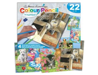 Animals (Horses, Dogs, Cats) Pencil by Number 22pc Activity Set (4 Projects) Age 8+ (8"x10")