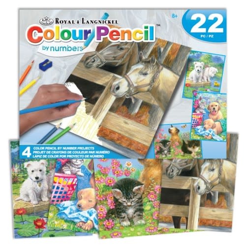 Animals (Horses, Dogs, Cats) Pencil by Number 22pc Activity Set (4 Projects) Age 8+ (8"x10")