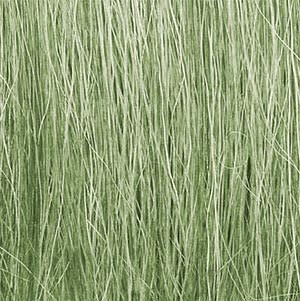 Field Grass, Lt. Green 8g