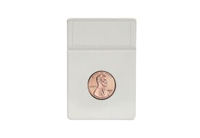 Display Slab Inserts - Penny, 25 inserts