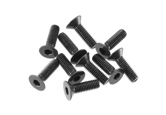 AR722310 Flat Head Screw 3x10mm (10)