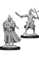 Dungeons & Dragons Dungeons & Dragons: Nolzur's - Elf Male Paladin