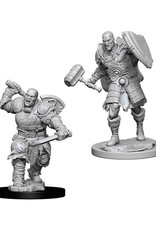 Dungeons & Dragons Dungeons & Dragons: Nolzur's - Goliath Male Fighter
