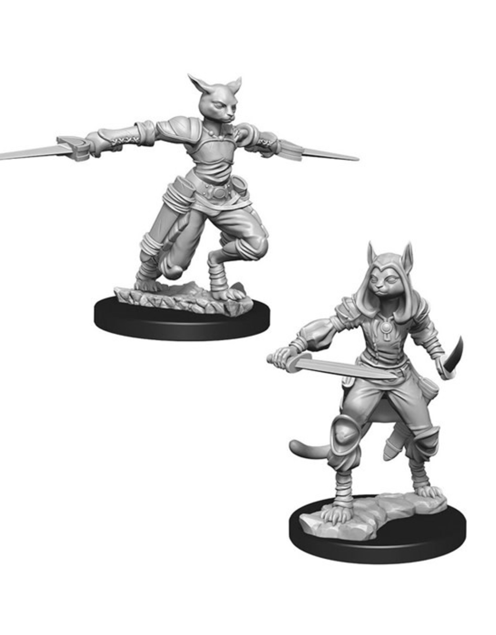 Dungeons & Dragons Dungeons & Dragons: Nolzur's - Tabaxi Female Rogue
