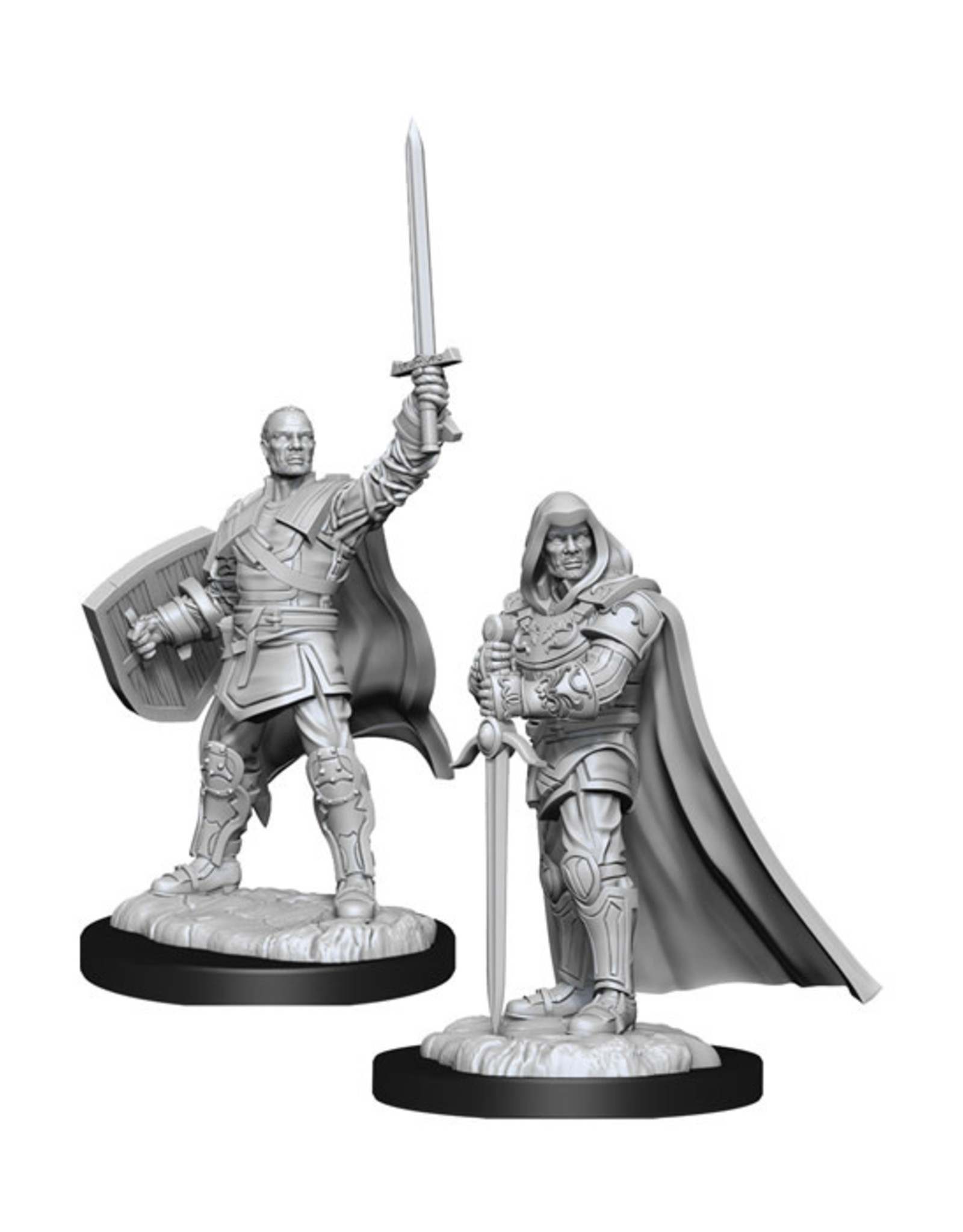 Dungeons & Dragons Dungeons & Dragons: Nolzur's - Human Male Paladin