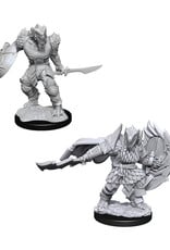 Dungeons & Dragons Dungeons & Dragons: Nolzur's - Dragonborn Male Fighter