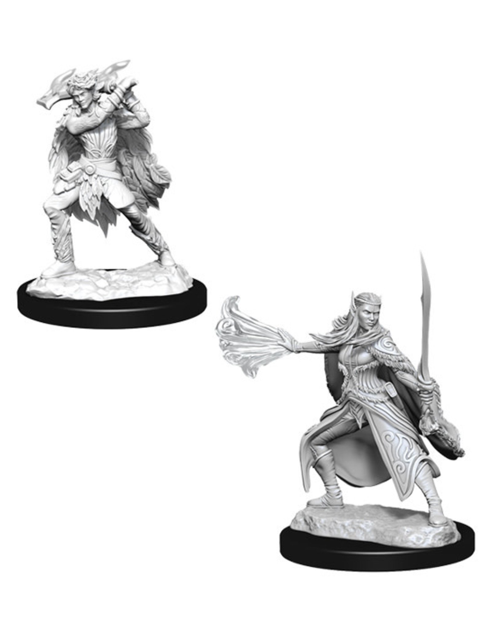 D&D - NMM - Winter/Spring Eladrin – DruidDice