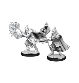 Critical Role Critical Role: Miniatures - Hobgoblin Male Wizard & Hobgoblin Male Druid