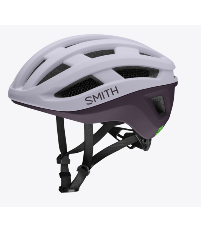 SMITH Persist Mips