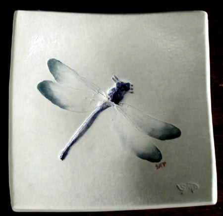 Organic Cotton Dish Covers — Butterflies and Dragonflies - What's Good