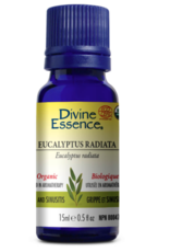 Divine Essence Divine Essence Eucalyptus Radiata, 15ml