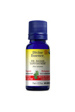 Divine Essence Divine Essence Fir Balsam Organic Essential Oil
