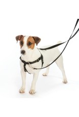 2 Hounds Design 2 HOUNDS DESIGN RASPBERRY THE FREEDOM NO-PULL HARNESS + LEASH