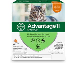Advantage flea and tick for cats new arrivals