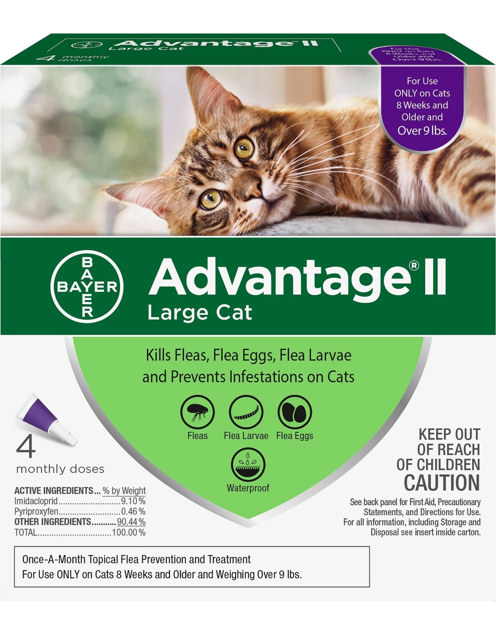 Advantage flea and sales tick for cats