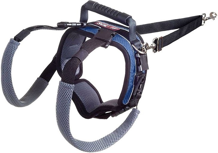 Carelift dog harness 2025