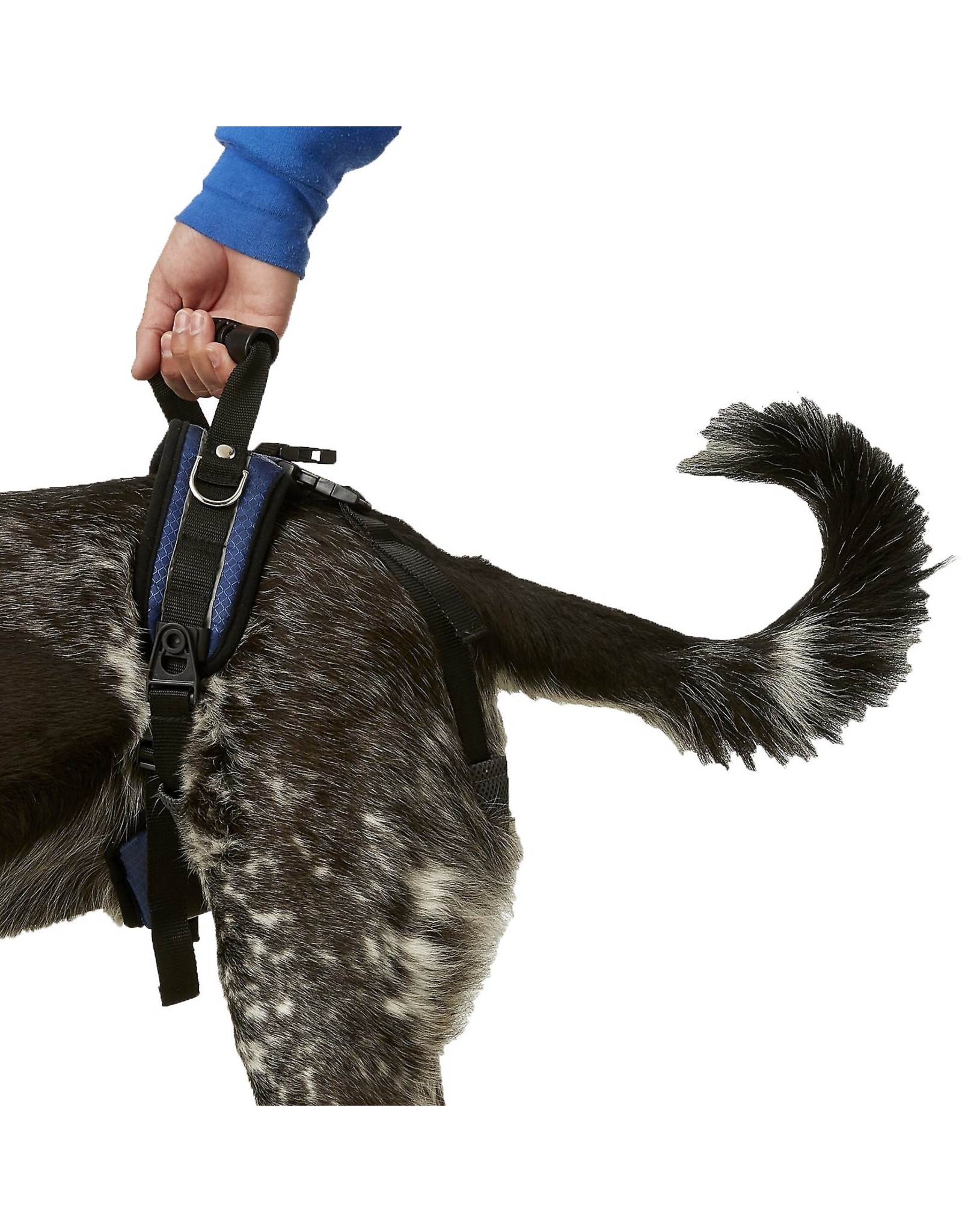 PetSafe Brand SOLVIT PRODUCTS CARELIFT REAR-ONLY LIFTING HARNESS