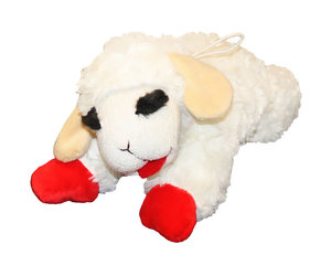 mini lamb chop dog toy
