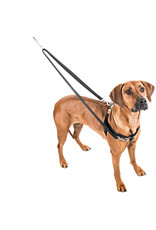 2 Hounds Design 2 HOUNDS DESIGN RASPBERRY THE FREEDOM NO-PULL HARNESS + LEASH