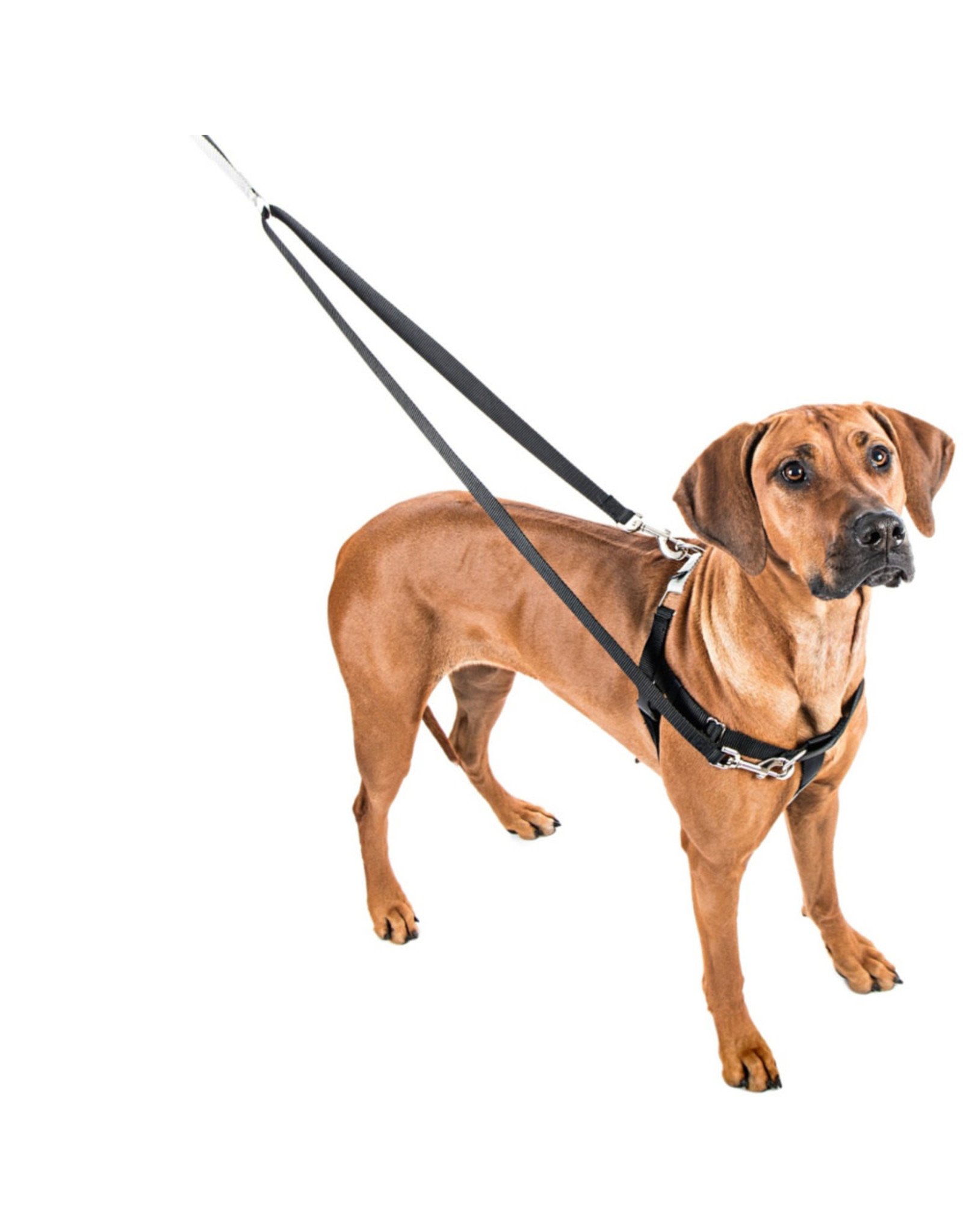 2 Hounds Design 2 HOUNDS DESIGN RASPBERRY THE FREEDOM NO-PULL HARNESS + LEASH