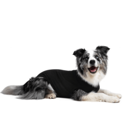 Suitical SUITICAL BLACK RECOVERY SUIT FOR DOGS