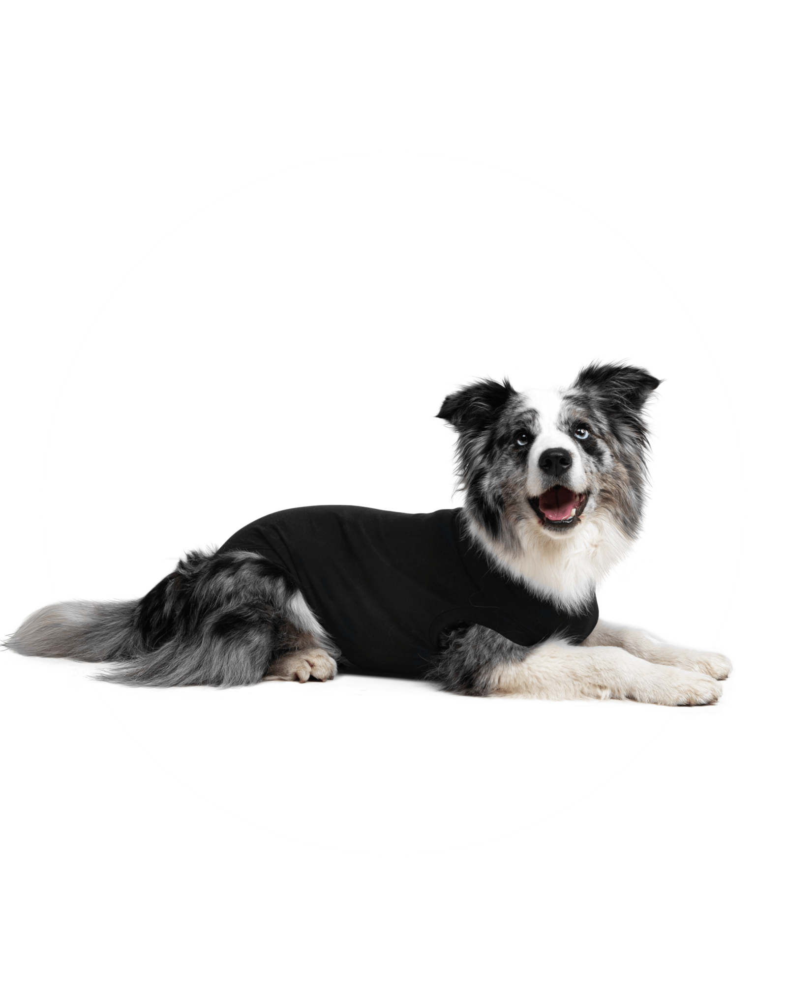 Suitical SUITICAL BLACK RECOVERY SUIT FOR DOGS