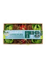 Oxbow Animal Health OXBOW ENRICHED LIFE GARDEN DIG BOX