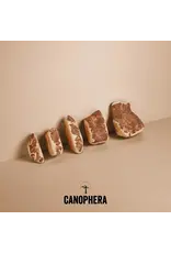 CANOPHERA CANOPHERA BRIAR WOOD CHEW