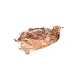 Ancestral Raw Nutrition ANCESTRAL RAW NUTRITION DEHYDRATED WHOLE PREY QUAIL