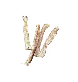 Ancestral Raw Nutrition ANCESTRAL RAW NUTRITION DOG/ CAT DEHYDRATED LAMB TRACHEA 12CT