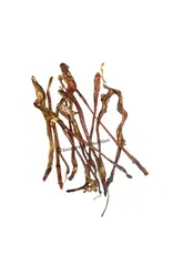 Ancestral Raw Nutrition ANCESTRAL RAW NUTRITION DOG/ CAT DEHYDRATED LAMB PIZZLE  SINGLE