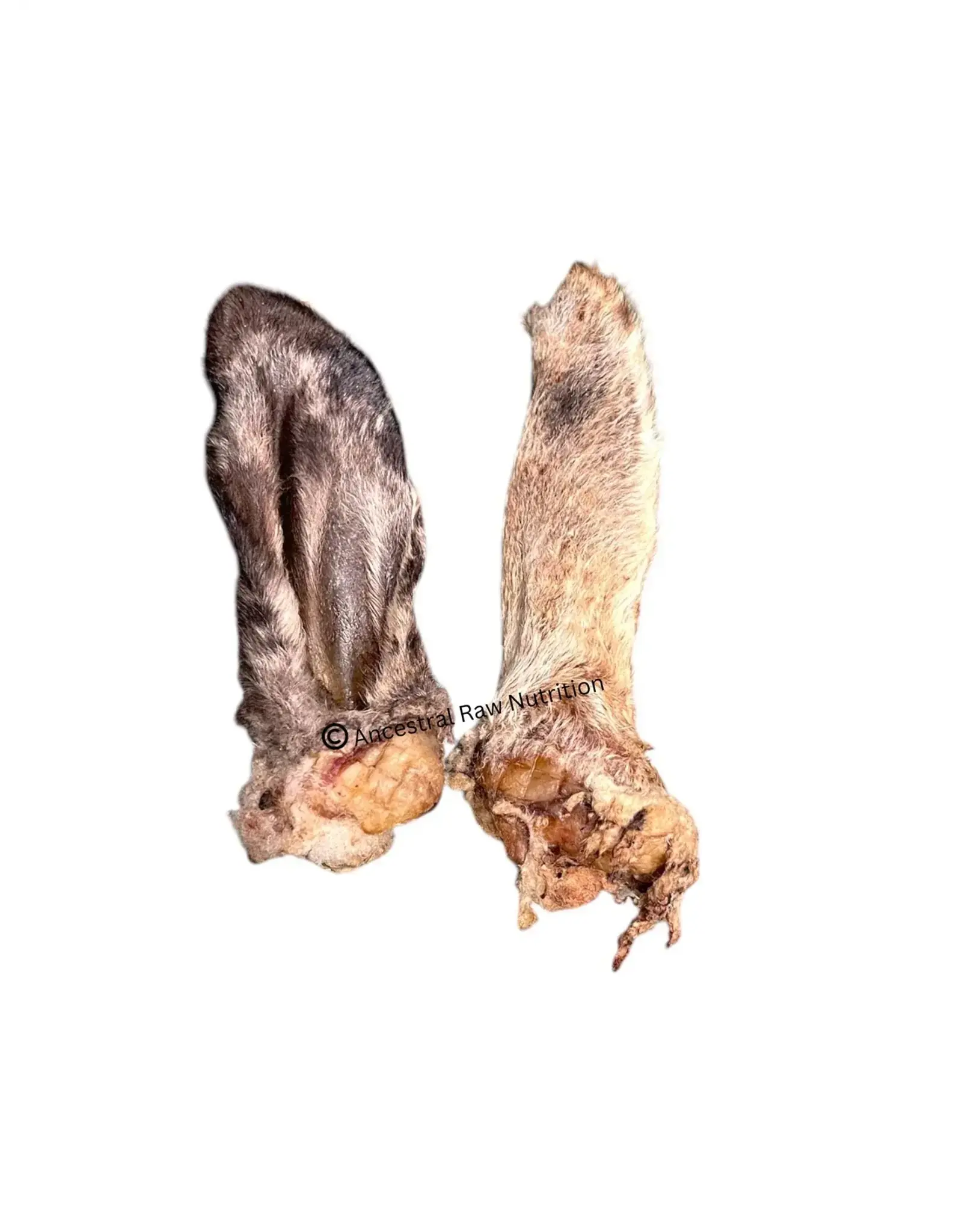 Ancestral Raw Nutrition ANCESTRAL RAW NUTRITION DOG/ CAT DEHYDRATED LAMB EAR SINGLE