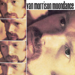Vinyl Van Morrison - Moondance.  US Import