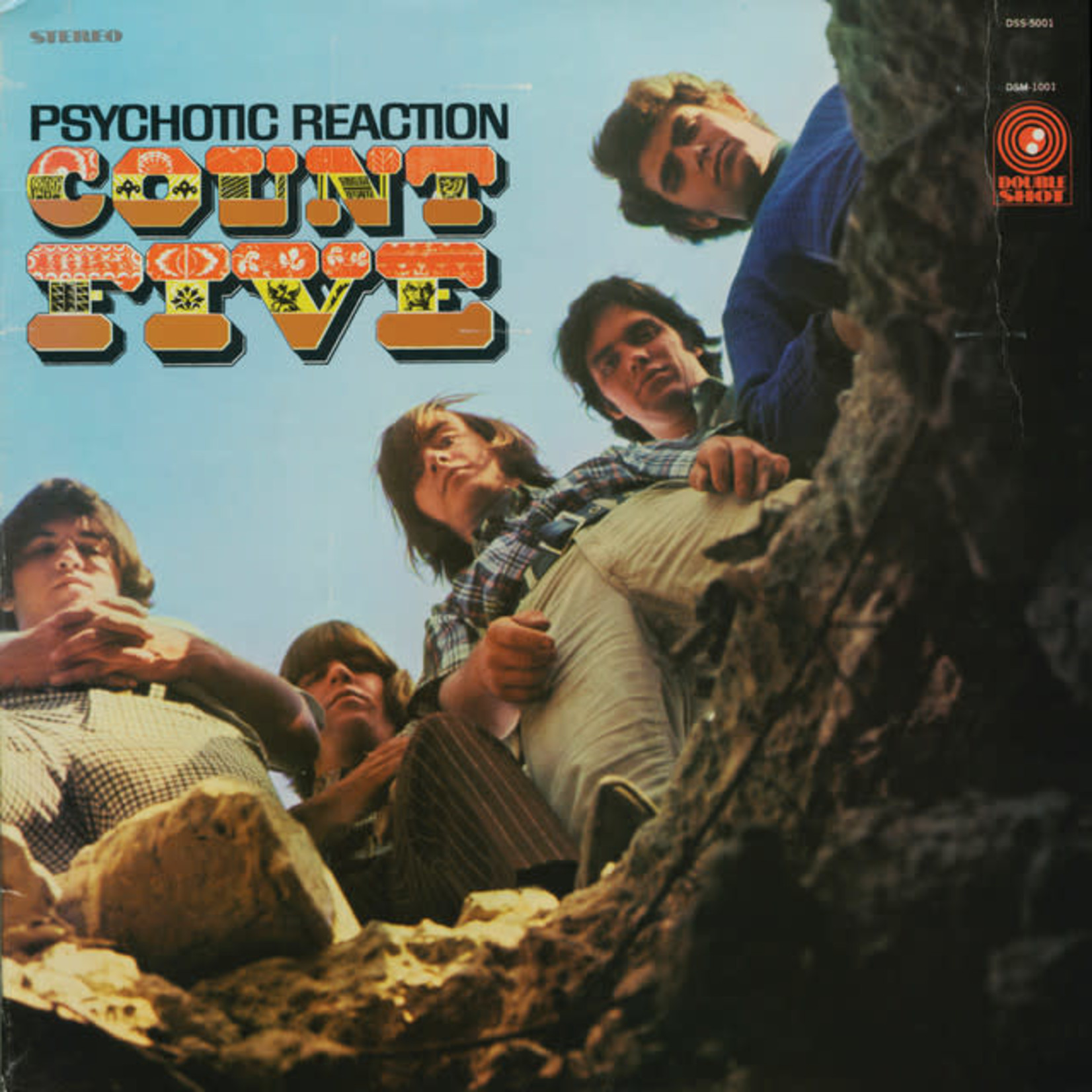 Vinyl Count Five - Psychotic Reaction
