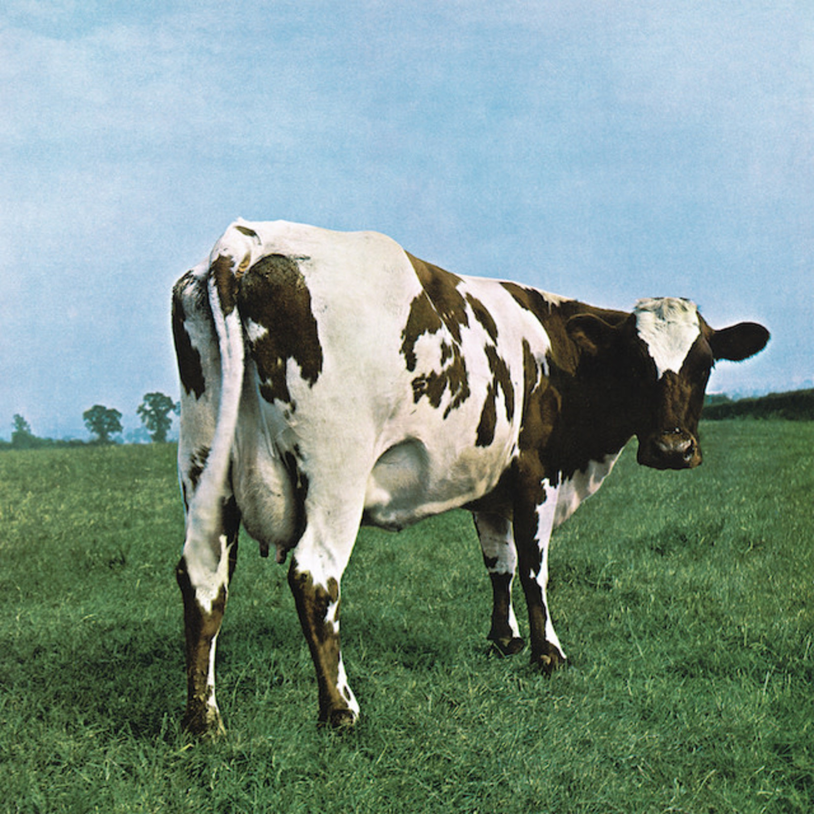 Vinyl Pink Floyd - Atom Heart Mother